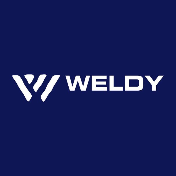 Logo of Weldy